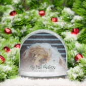 Kerst Familie Foto's Custom Keepsake Sneeuwbol (Kerstmis)