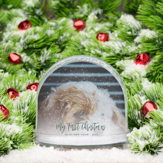 Kerst Familie Foto's Custom Keepsake Sneeuwbol (Kerstmis)