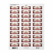 Kerst Floral Candy Canes Retour Adres Label (Full Sheet)