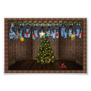 Kerst Foto Prints om Rond te Hangen Afdruk