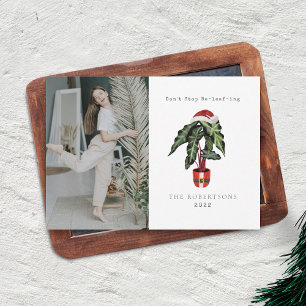 Kerst foto van huisplant 'Don't Stop Beleafing' Feestdagenkaart