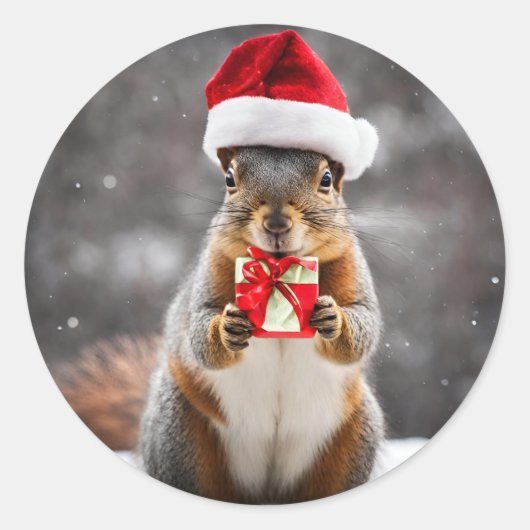 Kerst Fox Eekhoorn met een Santa Hat Ronde Sticker (Voorkant)