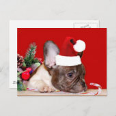 Kerst Franse Bulldog briefkaart (Voorkant / Achterkant)