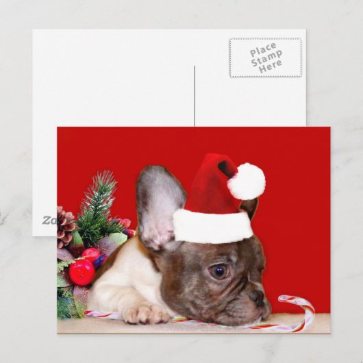 Kerst Franse Bulldog briefkaart (Voorkant / Achterkant)