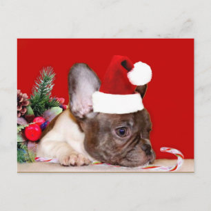 Kerst Franse Bulldog briefkaart