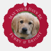 Kerst Furry Bright Pet Foto Rood Vakantie Ornament Kaart (Voorkant)