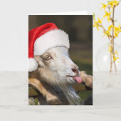 Kerst Geit Kaart (Gele Bloem)