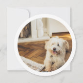 Kerst gepersonaliseerde harige en heldere foto feestdagenkaart (Achterkant)