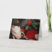 Kerst Gepersonaliseerde Painted Mini Pig Kaart (Voorkant)