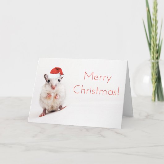 Kerst Gerbil Santa Hat Gerbils Santa Clause Feestdagen Kaart (Voorkant)