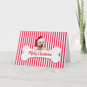 Kerst Golden Retriever Op Bot Feestdagen Kaart