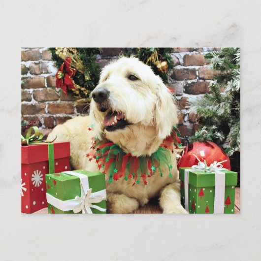 Kerst - GoldenDoodle - Lacey Feestdagenkaart (Voorkant)
