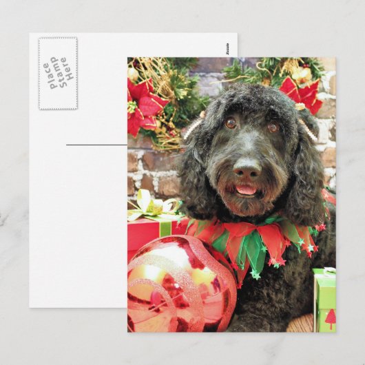 Kerst - GoldenDoodle - Pearl Jam Feestdagenkaart (Voorkant / Achterkant)