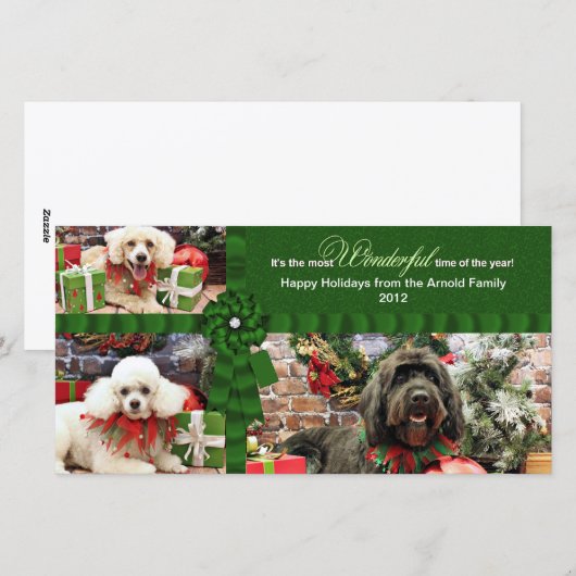 Kerst - GoldenDoodle Poedel Cockapoo - Arnold Feestdagenkaart (Voorkant / Achterkant)