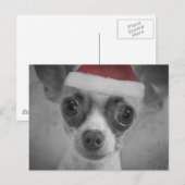 Kerst Grappig Chihuahua Puppy met Santa Hat Feestdagenkaart (Voorkant / Achterkant)