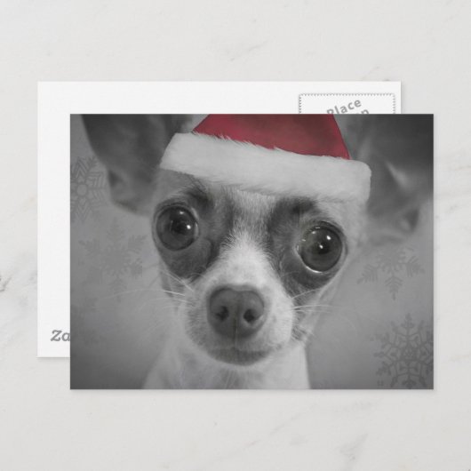 Kerst Grappig Chihuahua Puppy met Santa Hat Feestdagenkaart (Voorkant / Achterkant)