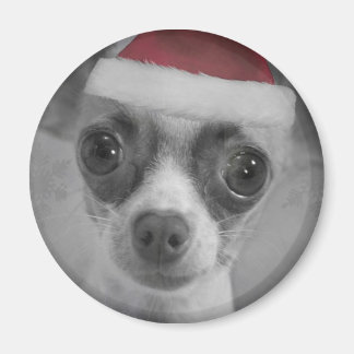 Kerst Grappig Chihuahua Puppy met Santa Hat Magneet