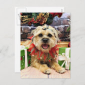 Kerst - Grensterriër - Reagan Feestdagenkaart (Voorkant / Achterkant)