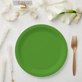 Kerst Groen Stevige Kleur Papieren Bordje