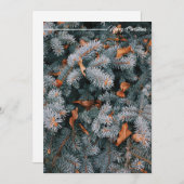 Kerst Groet Vakantie Kaart (Voorkant / Achterkant)