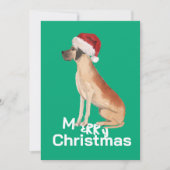 Kerst Grote Deen Hond Vrolijk Groeten Groene Kaart (Voorkant)