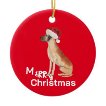 Kerst Grote Deen Hond Vrolijke Groet