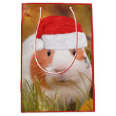 Kerst-Guinea Medium Cadeauzakje (Voorkant)