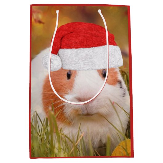 Kerst-Guinea Medium Cadeauzakje (Voorkant)