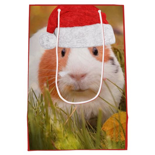 Kerst-Guinea Medium Cadeauzakje (Achterkant)