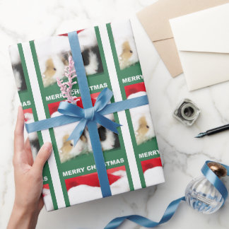 Kerst-Guinea Pigs Cadeaupapier