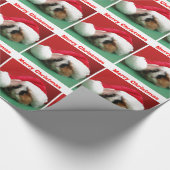 Kerst Guinee Pig in Pet Verpakking Papier (Hoek)