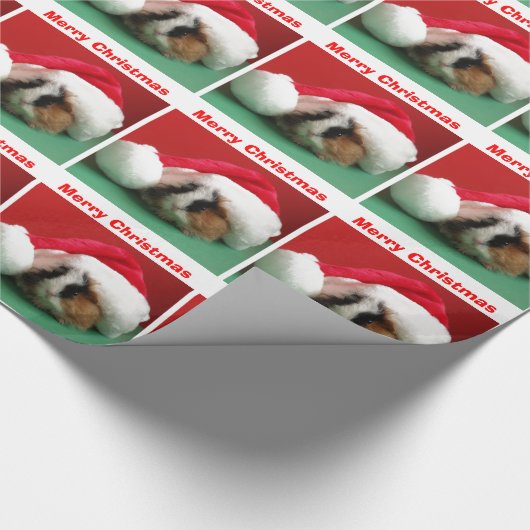 Kerst Guinee Pig in Pet Verpakking Papier (Hoek)