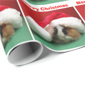 Kerst Guinee Pig in Pet Verpakking Papier (Rol Hoek)