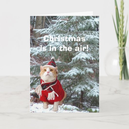 Kerst hangt in de lucht! feestdagen kaart (Voorkant)