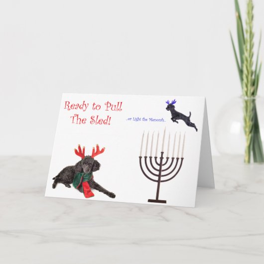 Kerst Hanukkah Poedel Hond w Menorah Feestdagen Kaart (Voorkant)