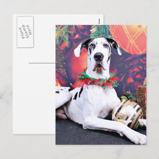 Kerst - Harlekijn Grote Deen - Baron Feestdagenkaart (Voorkant / Achterkant)