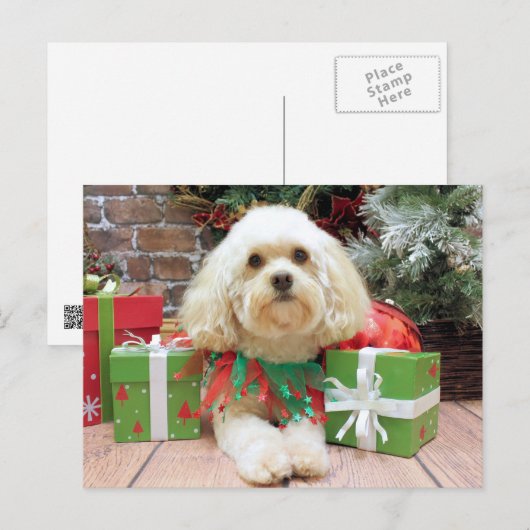 Kerst - Havanees - Mason Feestdagenkaart (Voorkant / Achterkant)