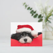 Kerst Havanese Puppy Hond Feestdagenkaart (Staand voorkant)