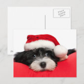 Kerst Havanese Puppy Hond Feestdagenkaart (Voorkant / Achterkant)