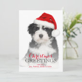 Kerst Havanese Puppy Hond Feestdagenkaart (Staand voorkant)