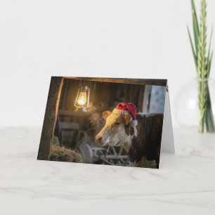 Kerst Hereford Koe in een Schuur Kaart