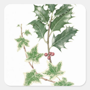 Kerst Holly en Ivy Sprigs Botanische stickers