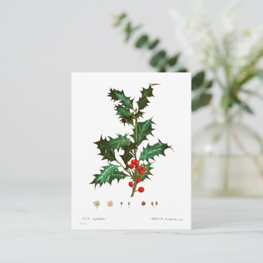  Kerst Holly Mistletoe Briefkaart (Staand voorkant)