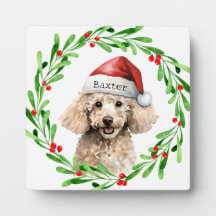 Kerst Hond Poodle Santa Hat Vakantie