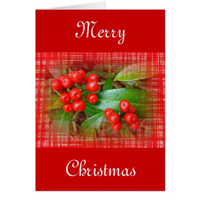 Kerst Honeysuckle Berries op katoenkatoen (Voorkant)