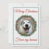 Kerst Huisdier foto krans Feestdagenkaart (Voorkant)