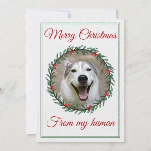 Kerst Huisdier foto krans Feestdagenkaart (Voorkant)