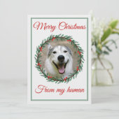 Kerst Huisdier foto krans Feestdagenkaart (Staand voorkant)