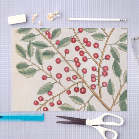 Kerst Hulst Tissue Papier Kerstvakantie (Craft)