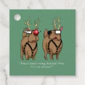Kerst Humor Vakantie Gift Labels (Voorkant)